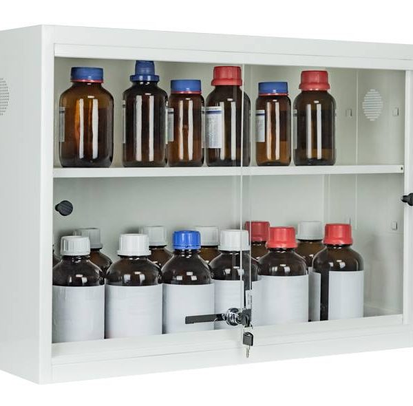 Ecosafe Safety Cabinet - To Put on a Bench or Wall Mounted Limited Edition Online