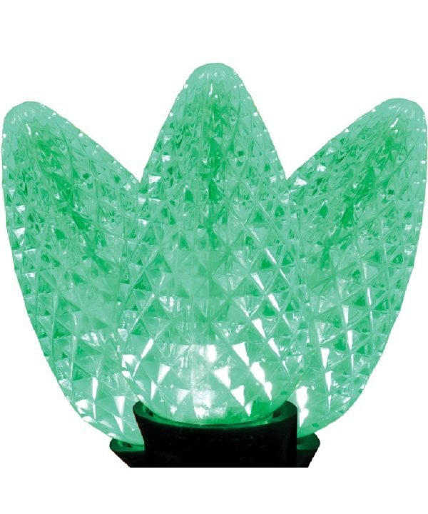 Celebrations LEDR8-C925FGRA Platinum Christmas LED Light Set, Green Discount Free Shipping
