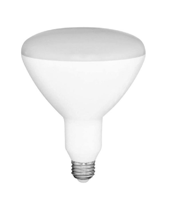 Global Value Lighting FG-03165 BR30 Reflector LED Bulb, Frosted Buy Cheap Nicekicks