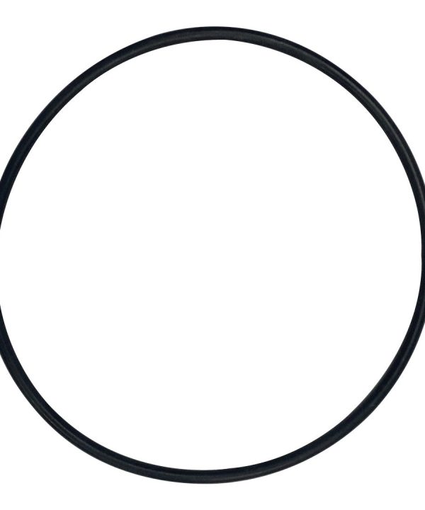 Rainbow (37121) O-Ring for Plate-Concorde || O-613-BAGGED In China Cheap Online